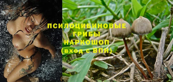 не бодяженный Абинск