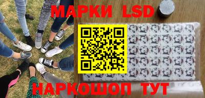 прущие грибы Обнинск