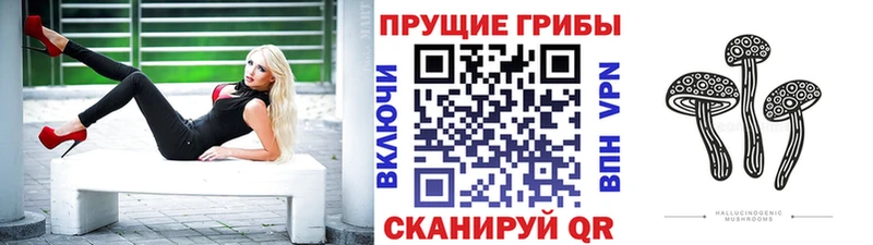 Псилоцибиновые грибы ЛСД Усть-Кут