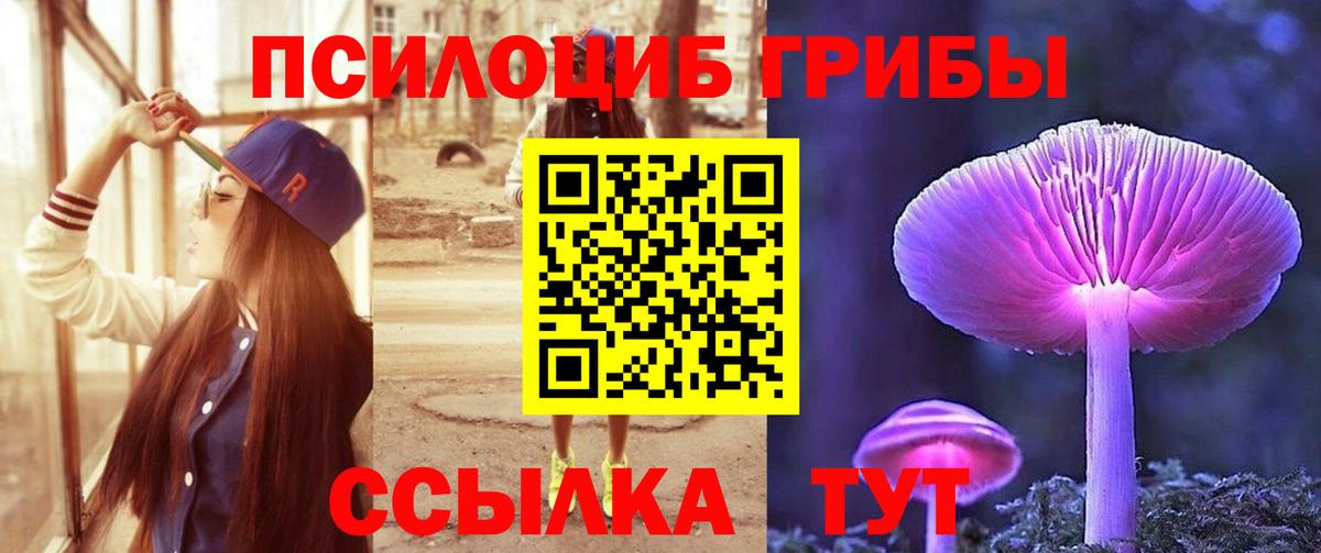 Галлюциногенные грибы мицелий Усть-Кут